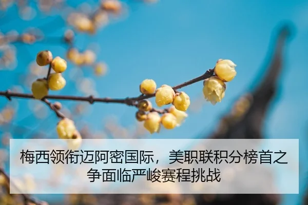 mei-xi-ling-xian-mai-a-mi-guo-ji-mei-zhi-lian-ji-fen-bang-shou-zhi-zheng-mian-lin-yan-jun-sai-cheng-tiao-zhan-2-670.jpg