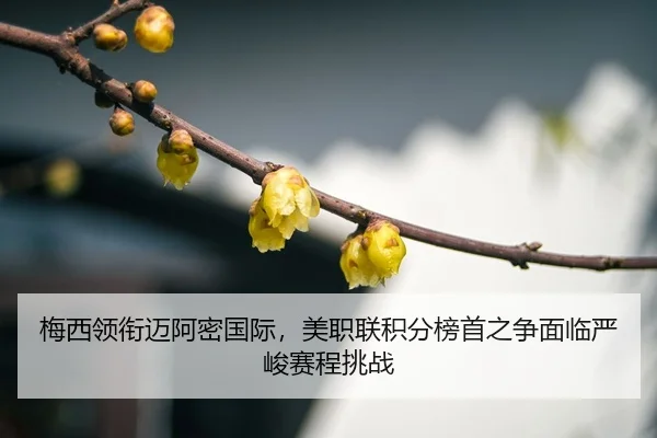 mei-xi-ling-xian-mai-a-mi-guo-ji-mei-zhi-lian-ji-fen-bang-shou-zhi-zheng-mian-lin-yan-jun-sai-cheng-tiao-zhan-3-833.jpg